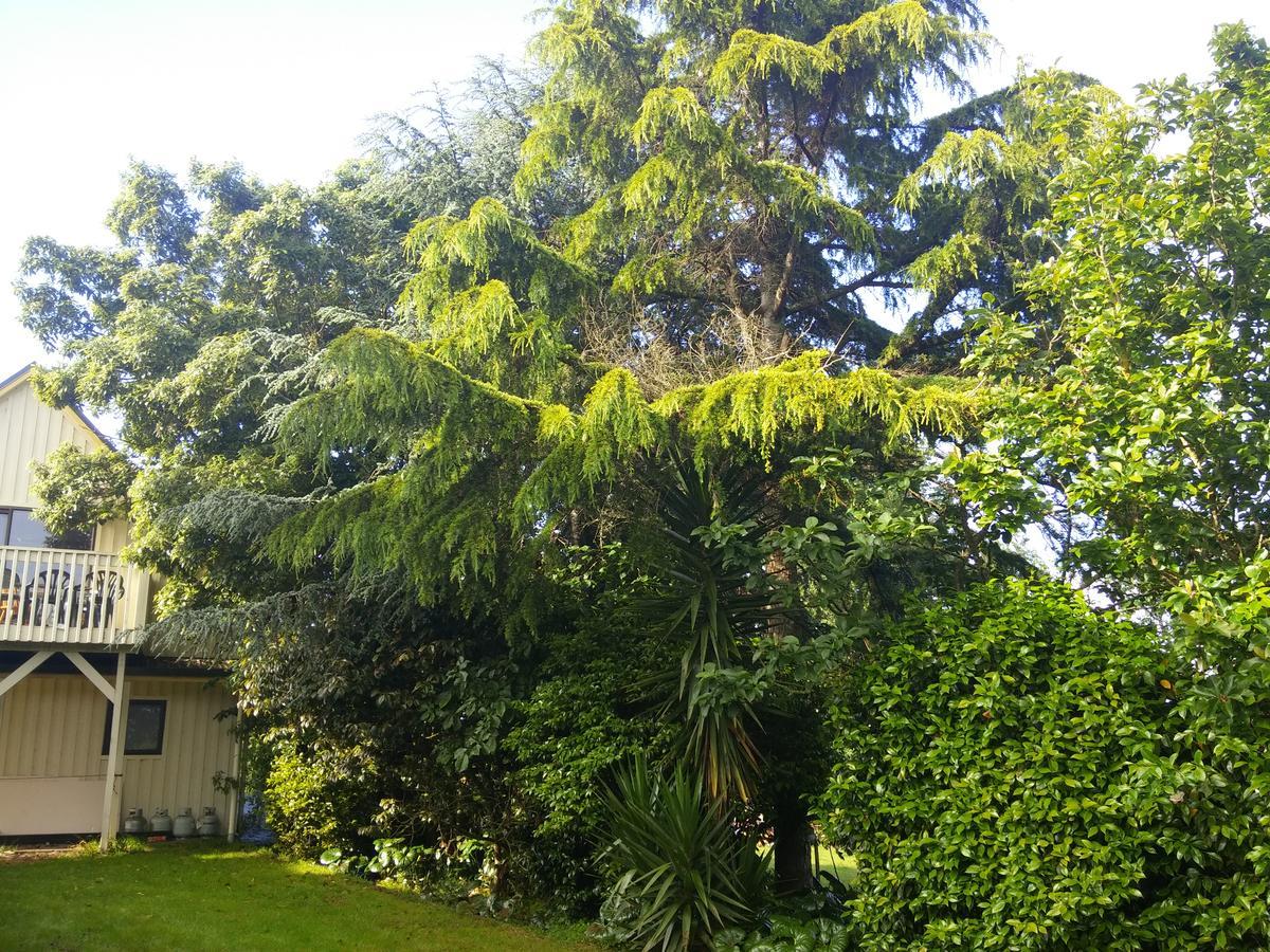 Hamilton Golf Lodge 外观 照片